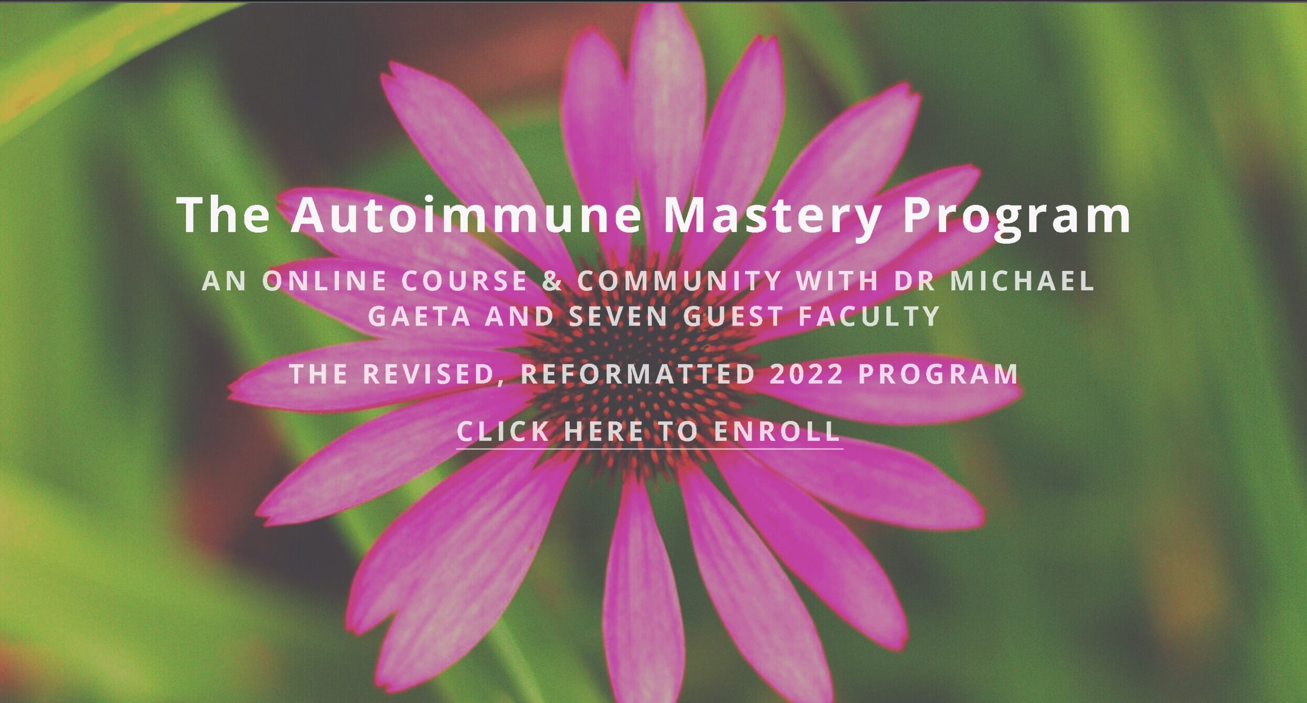autoimmune-mastery-program